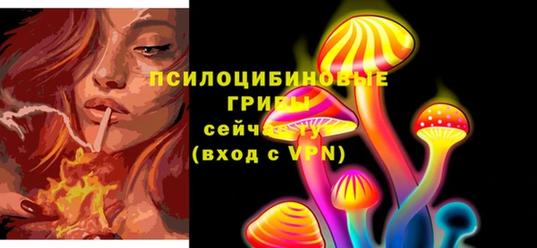соль ск Магас