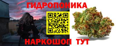 apvp Заволжье