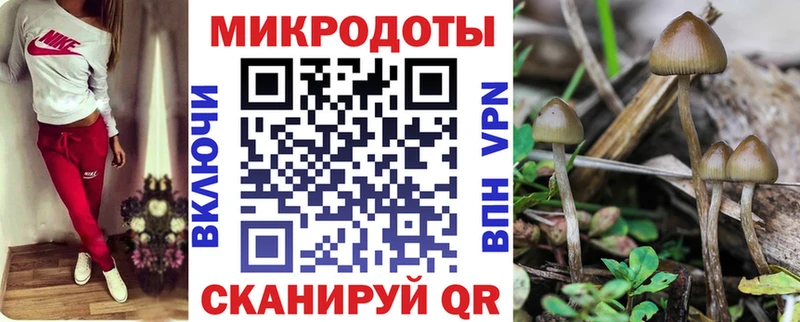 Галлюциногенные грибы ЛСД  маркетплейс клад  Северск  ОМГ ОМГ сайт 