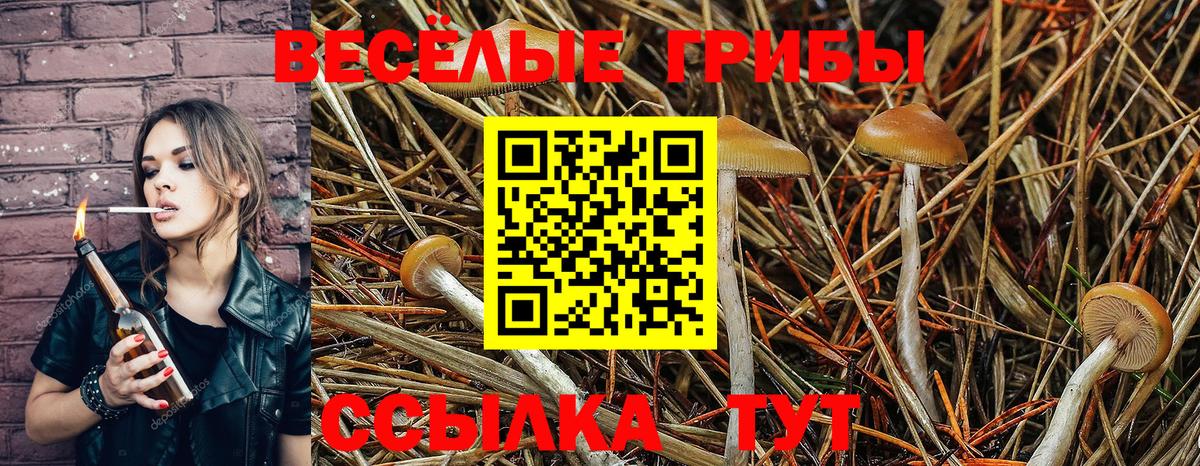 Галлюциногенные грибы мухоморы  Северск 