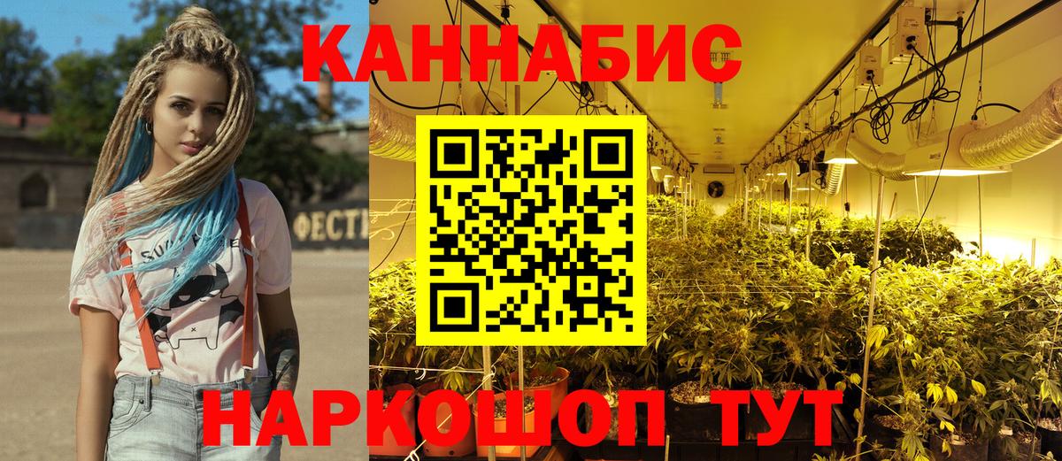 Бошки марихуана план  Вход с VPN  Канабис ГИДРОПОН  Северск  Канабис марихуана 